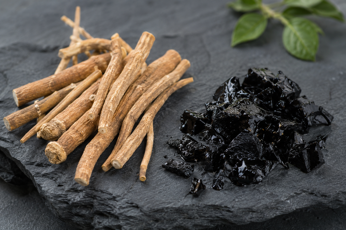 Racines d'ashwagandha et résine de shilajit